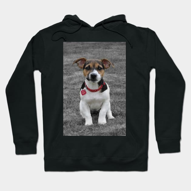 They Call It Puppy Love Hoodie by AH64D